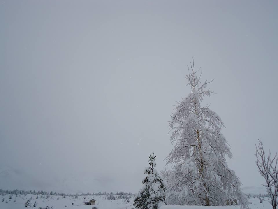 Vikendica Jela Blidinje Villa Rudo Polje Buitenkant foto