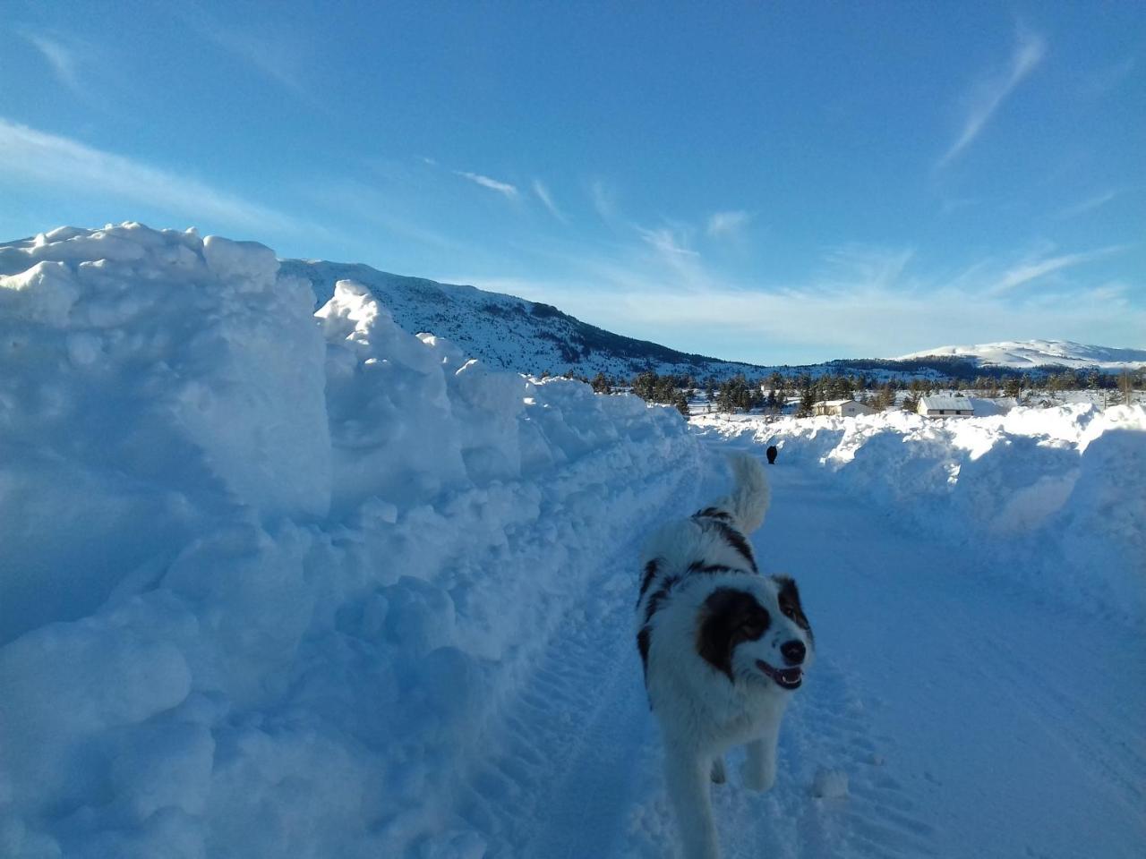 Vikendica Jela Blidinje Villa Rudo Polje Buitenkant foto